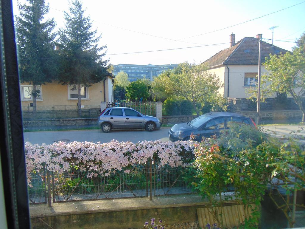 Leander Apartman Sárvár Exterior foto
